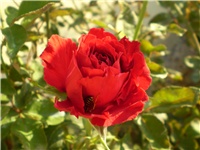 f9360a87-Picture 3111.jpg